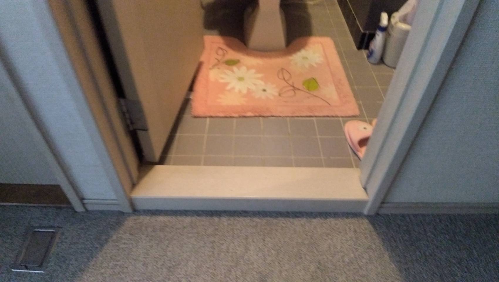 S様邸　トイレ敷居撤去（段差解消）